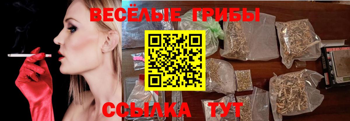 Галлюциногенные грибы мухоморы  Вход с VPN  Михайловка 