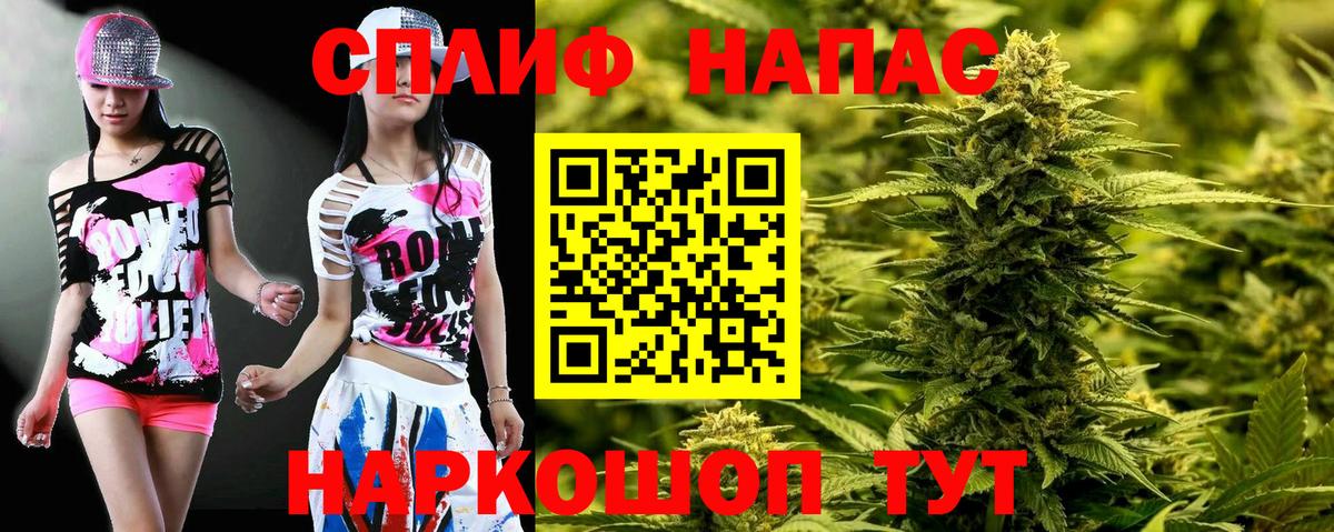 Конопля сатива Михайловка